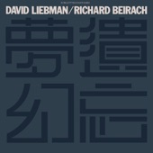 David Liebman - Troubled Peace