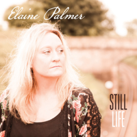 Elaine Palmer - Still Life artwork