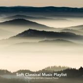 Soft Classical Music Playlist: 12 Relaxing and Calm Classical Pieces artwork