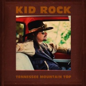 Tennessee Mountain Top (Single Version) artwork