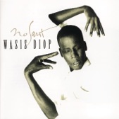 Wasis Diop - African Dream