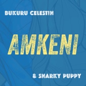 Bukuru Celestin & Snarky Puppy - Ndagukunda