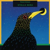 Stella Nera artwork