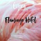 Flamingo Hotel (Hauswerks Remix) - Jonathan David & Matt McLarrie lyrics