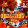 Herbst Hits 2017