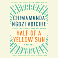 Chimamanda Ngozi Adichie - Half of a Yellow Sun (Unabridged) artwork