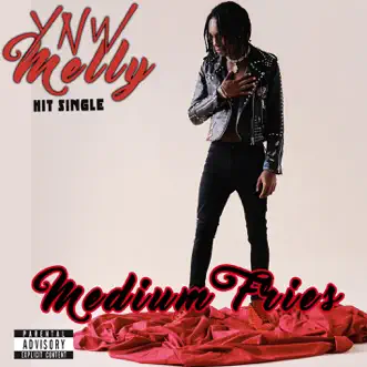 Medium Fries by YNW Melly song reviws