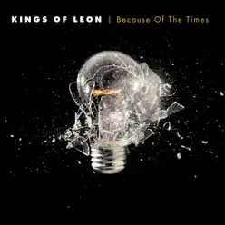 Because of the Times - Kings Of Leon