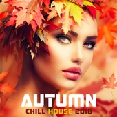 Autumn Chill House 2018 - Autumn Lounge Cafe Sunset Moods, Positive Vibes & Relax artwork