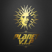 Various Artists - Planet V. I. P artwork