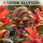 Karrin Allyson - Shake It Up