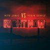 Nick Jonas & Robin Schulz - Right Now  artwork