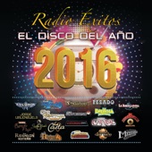 Radio Éxitos - El Disco Del Año 2016 artwork