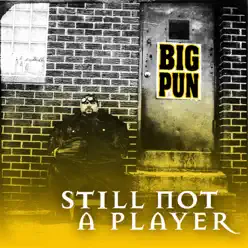 Still Not a Player - EP - Big Punisher
