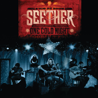 Seether - One Cold Night (Live) artwork