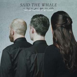 Said The Whale On Apple Music