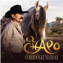 Corridos Ke Mandan - El Chapo De Sinaloa