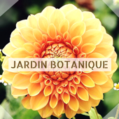 Jardin Botanique - Zen musique de la nature pour se détendre à la campagne - Jardin japonais