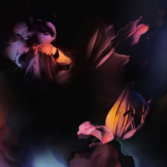 Cover artwork for Waves