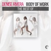 Body of Work - The Best of Denise Rivera