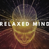 Relaxed Mind: Soothing Music for Meditation, Serenity Zen, Free Spirit, Relaxed Body artwork