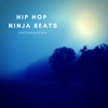 Hip hop ninja beats - Sixteen shots of vodka