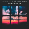 Surrender (feat. Josh Rubin) - Single