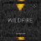 Wildfire (Kevin Aleksander Remix) - Transform lyrics