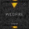 Wildfire - Transform lyrics