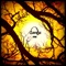 Spook - Dan Oz lyrics