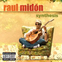 Synthesis - Raul Midon