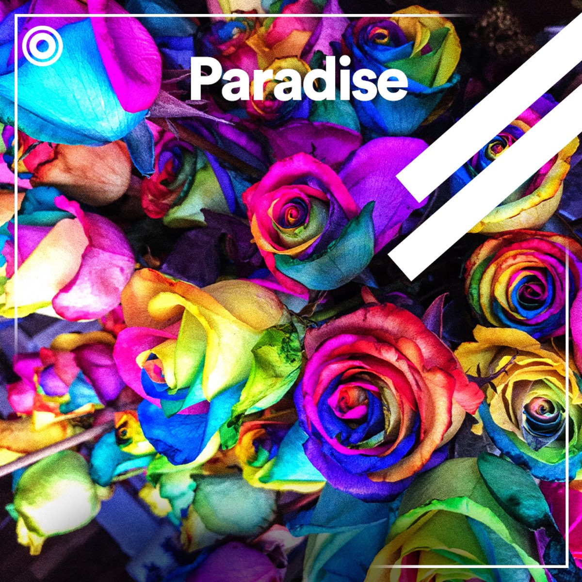 Paradise ep