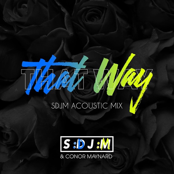 Cover artwork for That Way (SDJM Acoustic Mix)