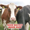 Boer Zijn - Single