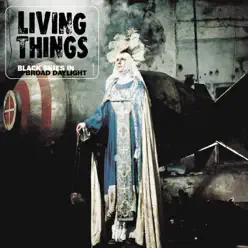 Black Skies in Broad Daylight - Living Things Black Skies in Broad Daylight - Living Things