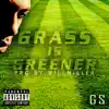 Grass Is Greener - Single album lyrics, reviews, download