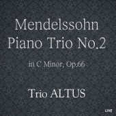 Mendelssohn Piano Trio No.2 in C Minor, Op.66-Andante Espressive artwork