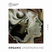 Various Artists - Organic Underground Issue 31 artwork