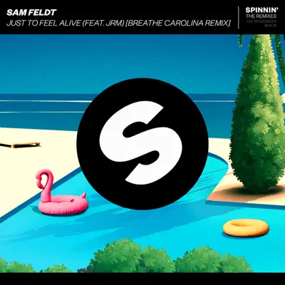 Just To Feel Alive (feat. JRM) [Breathe Carolina Remix] - Single - Sam Feldt