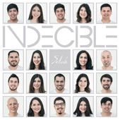 Indecible artwork