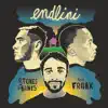 Endlini (feat. amaFranx) - Single album lyrics, reviews, download