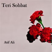 Teri Sohbat artwork