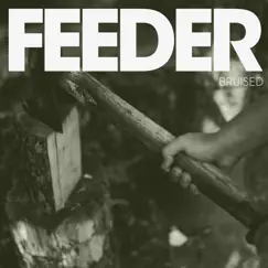 Bruised - Single by Feeder album reviews, ratings, credits