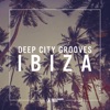 Deep City Grooves Ibiza, Vol. 2