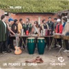 Para verte gambetear by La Fundamental iTunes Track 2