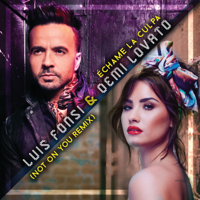 Luis Fonsi & Demi Lovato - Échame La Culpa (Not On You Remix) artwork