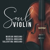 Soul Violin artwork