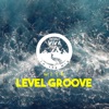 Natura Viva in the Mix With Level Groove