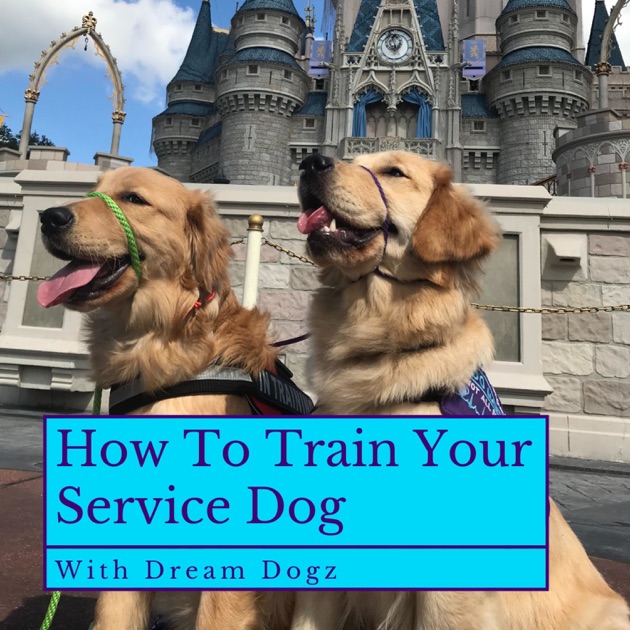 How To Train Your Service Dog (With Dream Dogz) by