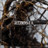 Rizoma